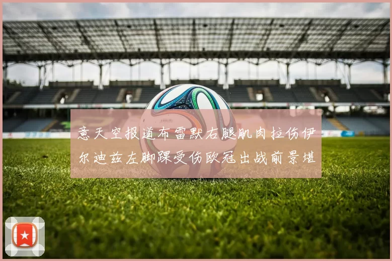 意天空报道布雷默右腿肌肉拉伤伊尔迪兹左脚踝受伤欧冠出战前景堪忧