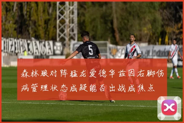 森林狼对阵猛龙爱德华兹因右脚伤病管理状态成疑能否出战成焦点